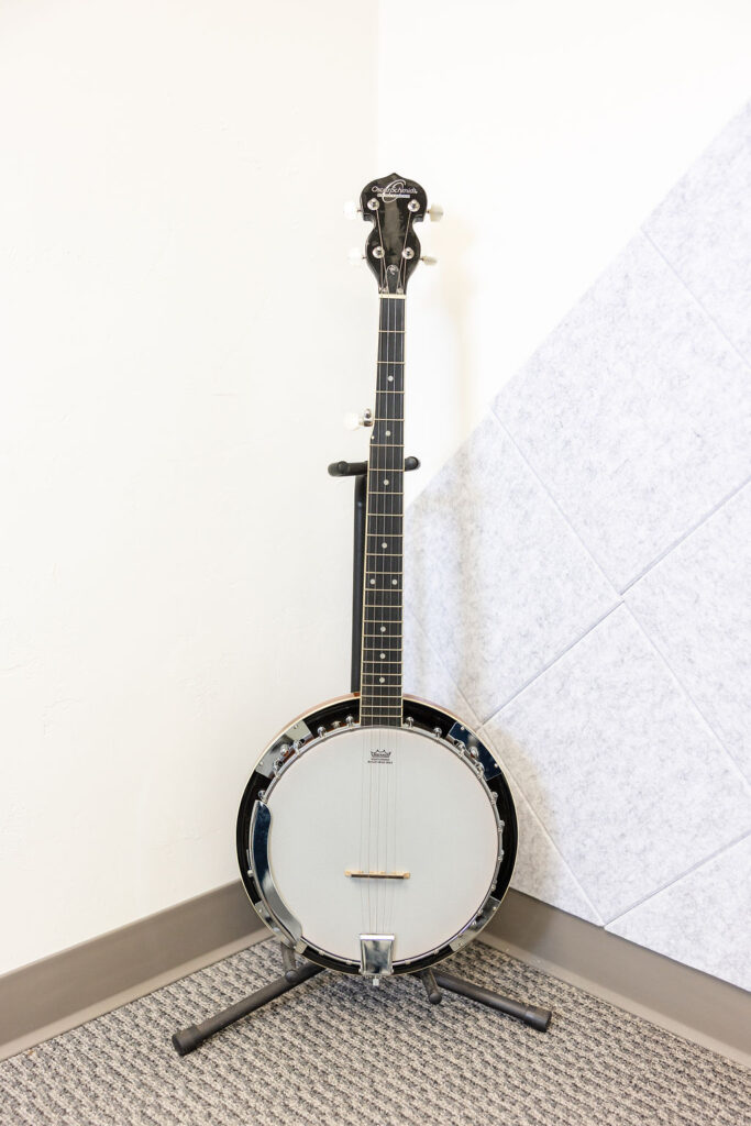 Banjo instrument